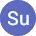 Su T.